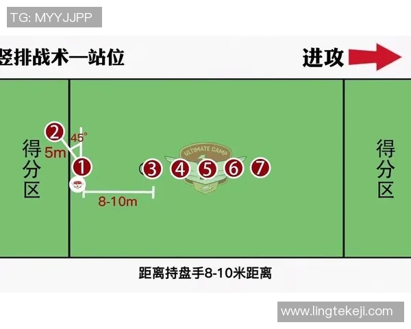 飞盘焦点：深入分析杭州飞盘队的团队协作与战术配合